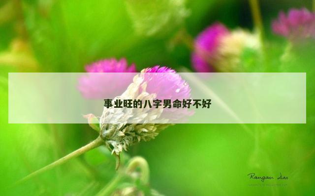 事业旺的八字男命好不好