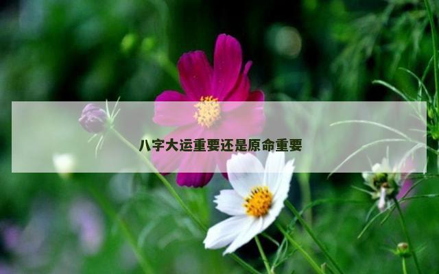 八字大运重要还是原命重要