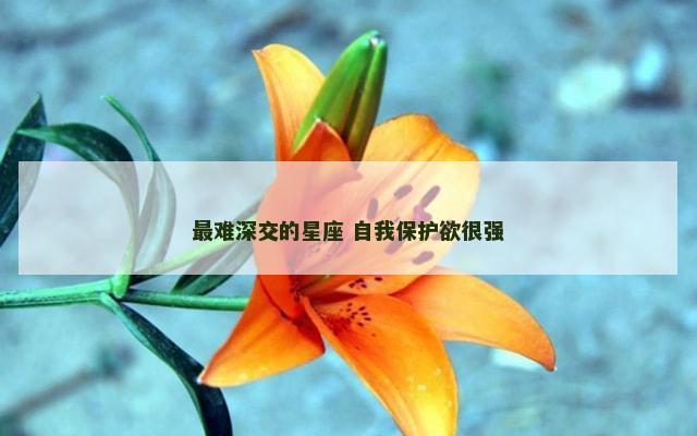 最难深交的星座 自我保护欲很强
