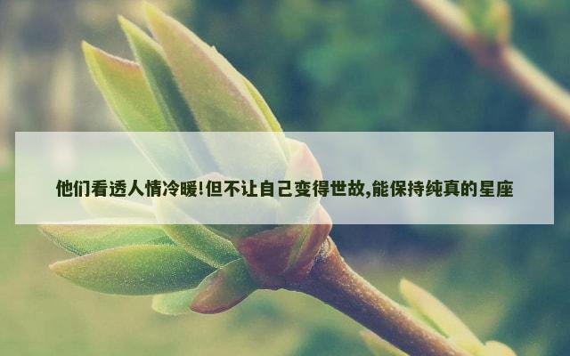 他们看透人情冷暖!但不让自己变得世故,能保持纯真的星座