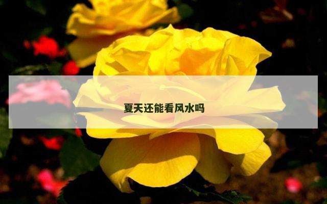 夏天还能看风水吗