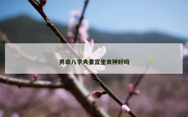 男命八字夫妻宫坐食神好吗