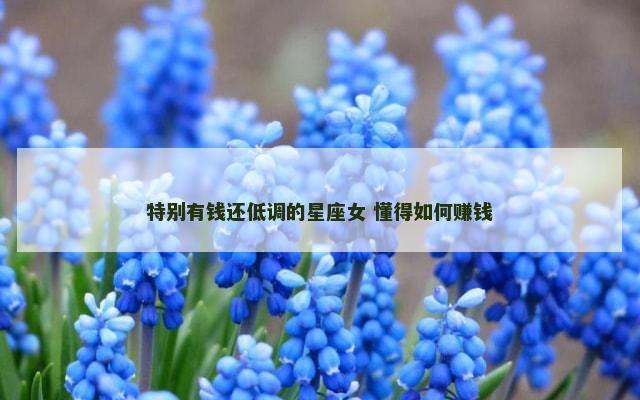 特别有钱还低调的星座女 懂得如何赚钱