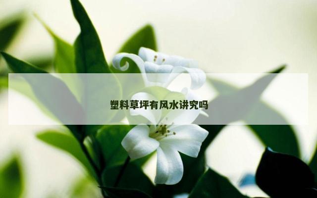 塑料草坪有风水讲究吗