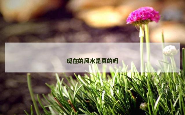 现在的风水是真的吗