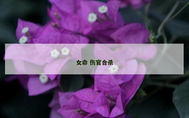 女命 伤官合杀