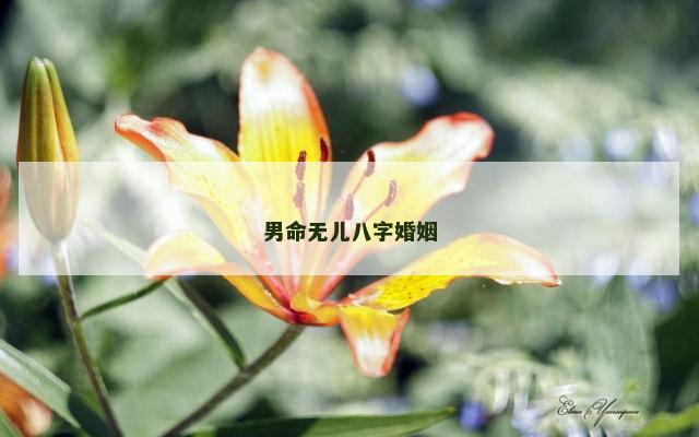 男命无儿八字婚姻