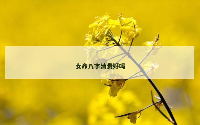 女命八字清贵好吗