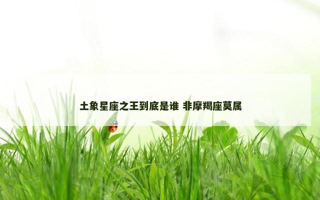 土象星座之王到底是谁 非摩羯座莫属