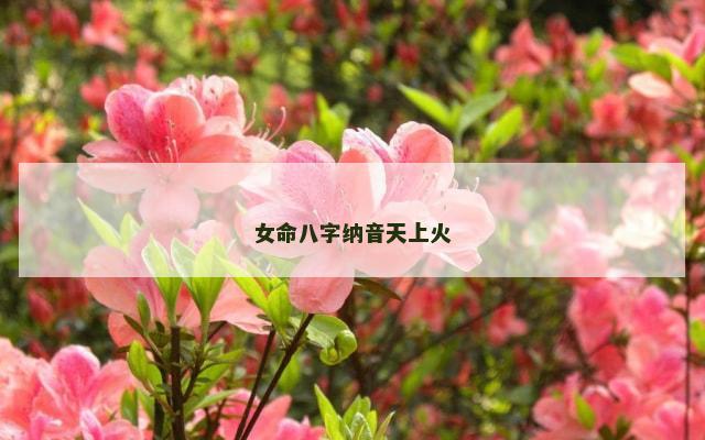 女命八字纳音天上火