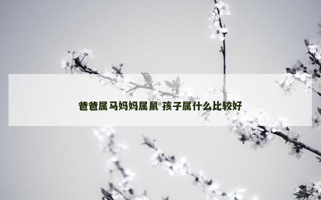 爸爸属马妈妈属鼠 孩子属什么比较好
