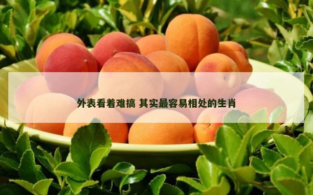 外表看着难搞 其实最容易相处的生肖