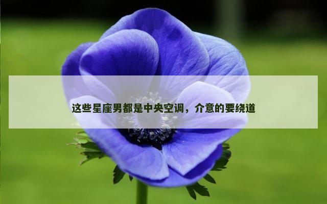 这些星座男都是中央空调，介意的要绕道