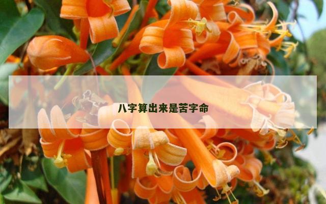 八字算出来是苦字命