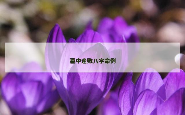 墓中逢败八字命例