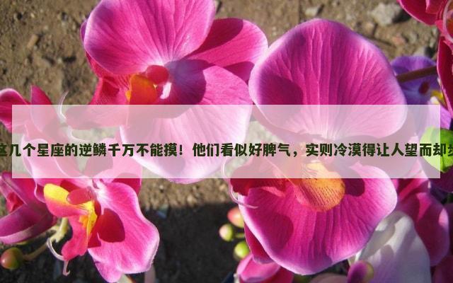 这几个星座的逆鳞千万不能摸！他们看似好脾气，实则冷漠得让人望而却步