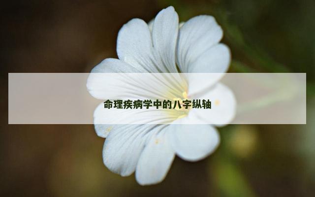 命理疾病学中的八字纵轴
