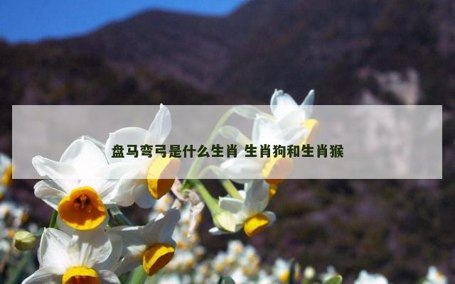 盘马弯弓是什么生肖 生肖狗和生肖猴