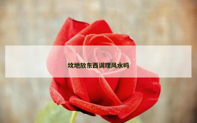 坟地放东西调理风水吗