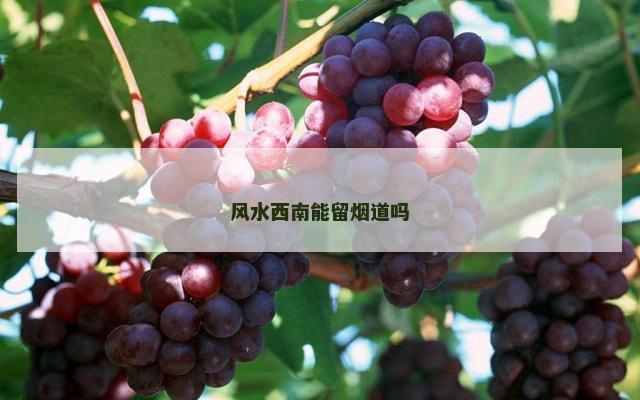 风水西南能留烟道吗