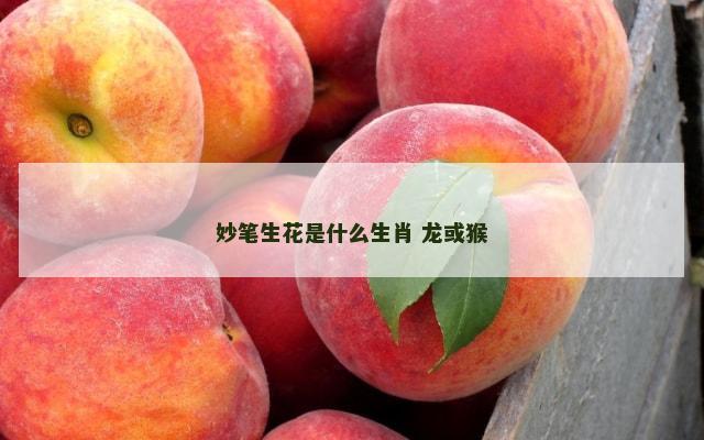 妙笔生花是什么生肖 龙或猴