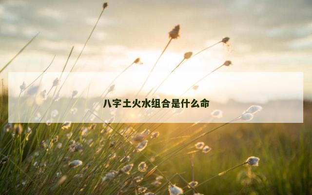 八字土火水组合是什么命
