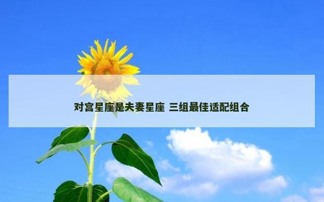 对宫星座是夫妻星座 三组最佳适配组合