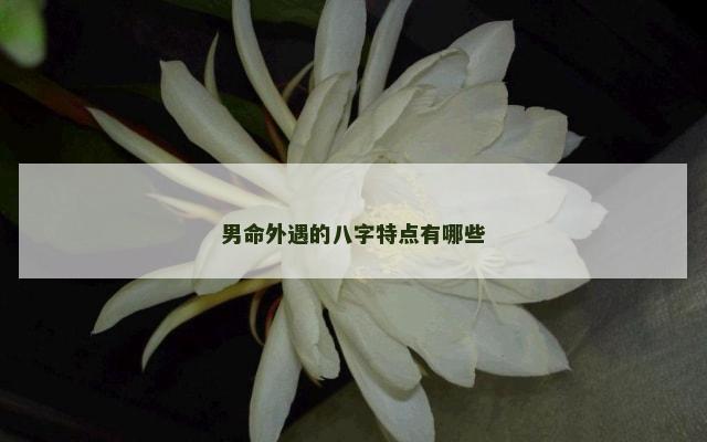 男命外遇的八字特点有哪些