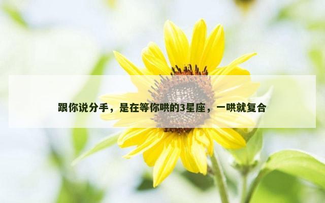跟你说分手，是在等你哄的3星座，一哄就复合