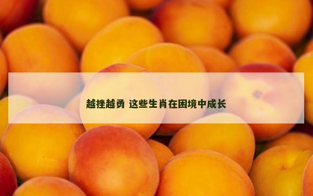 越挫越勇 这些生肖在困境中成长