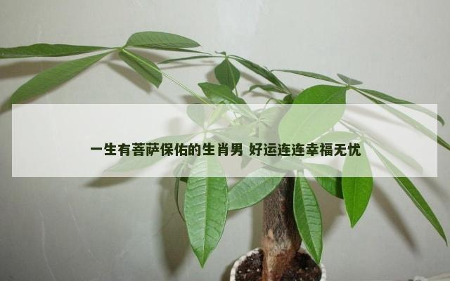 一生有菩萨保佑的生肖男 好运连连幸福无忧