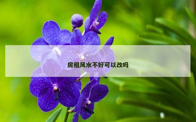 房租风水不好可以改吗