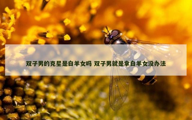 双子男的克星是白羊女吗 双子男就是拿白羊女没办法