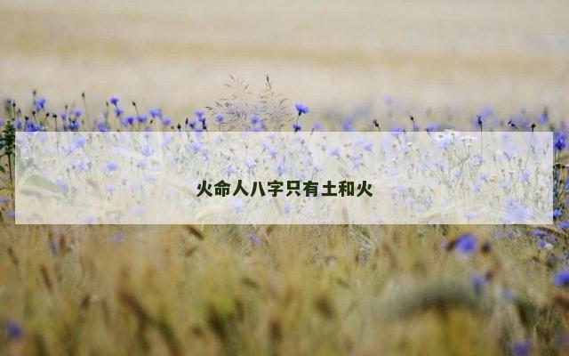 火命人八字只有土和火
