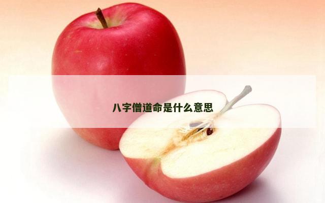 八字僧道命是什么意思