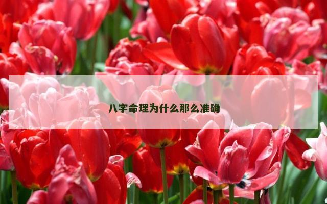 八字命理为什么那么准确