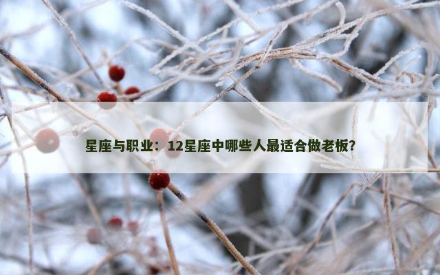 星座与职业：12星座中哪些人最适合做老板？