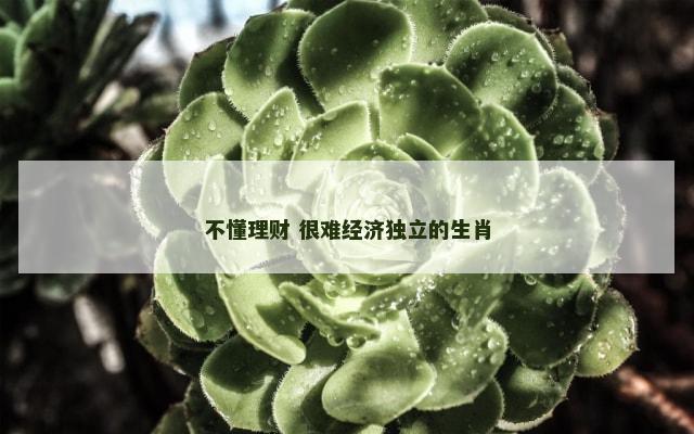 不懂理财 很难经济独立的生肖