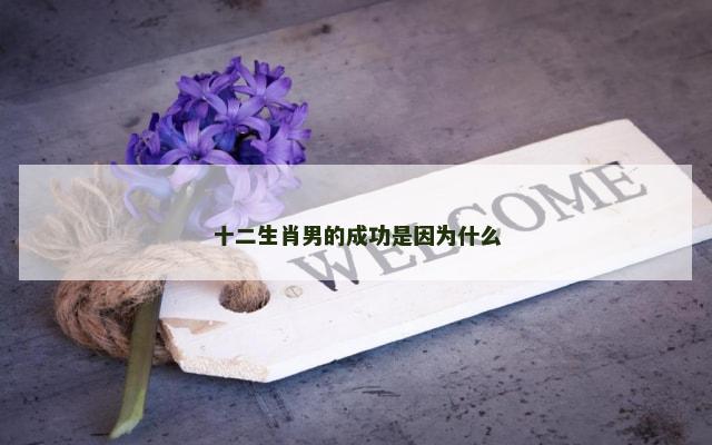 十二生肖男的成功是因为什么