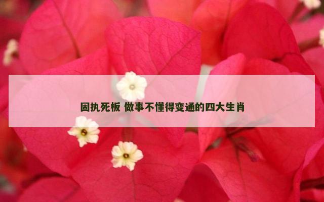 固执死板 做事不懂得变通的四大生肖