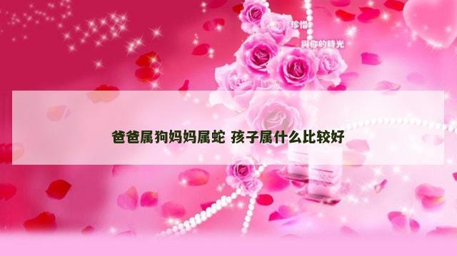 爸爸属狗妈妈属蛇 孩子属什么比较好