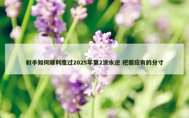 射手如何顺利度过2025年第2波水逆 把握应有的分寸