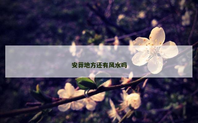 安葬地方还有风水吗