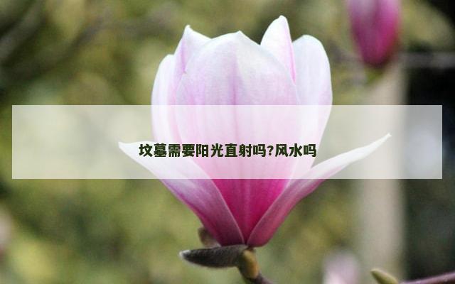 坟墓需要阳光直射吗?风水吗