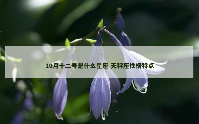 10月十二号是什么星座 天秤座性格特点