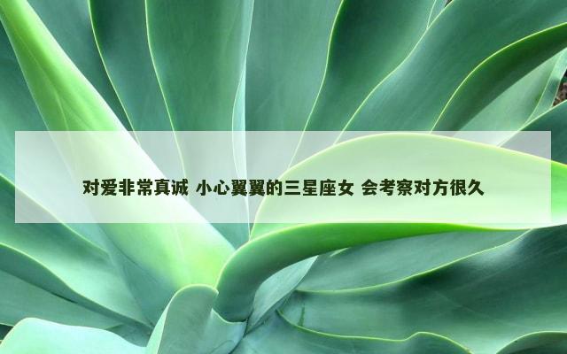 对爱非常真诚 小心翼翼的三星座女 会考察对方很久