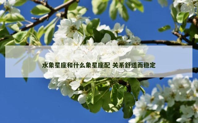 水象星座和什么象星座配 关系舒适而稳定