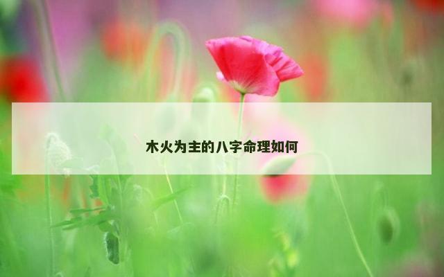 木火为主的八字命理如何