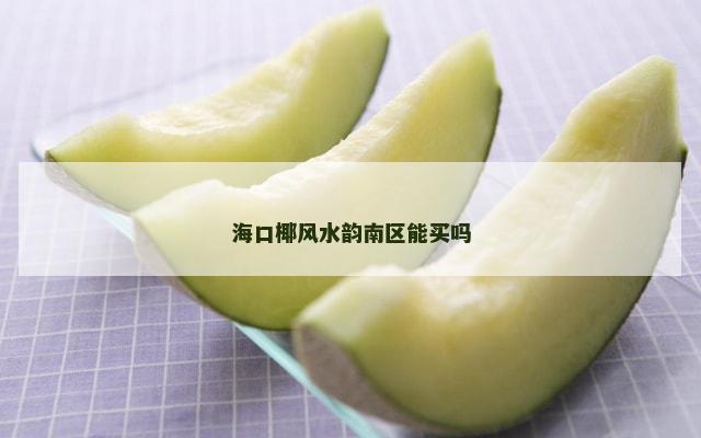 海口椰风水韵南区能买吗
