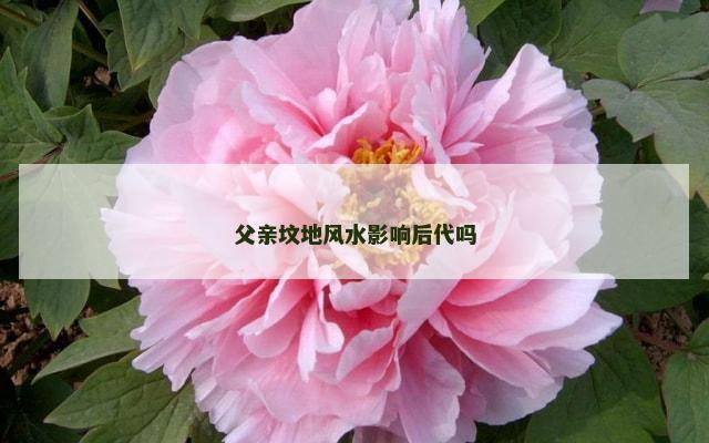 父亲坟地风水影响后代吗
